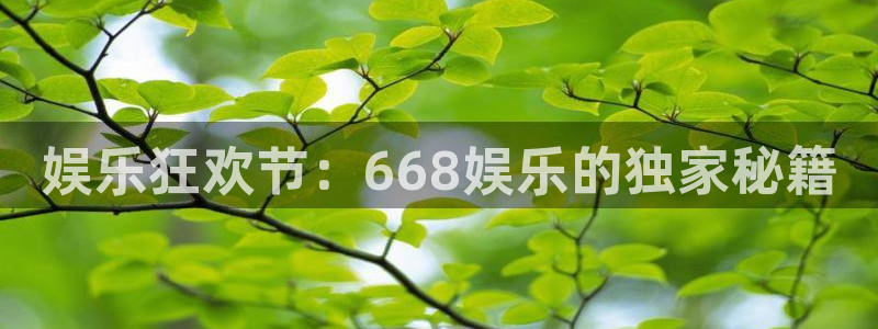 高德娱乐：娱乐狂欢节：668娱乐的独家秘籍