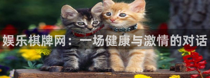 高德娱乐：娱乐棋牌网：一场健康与激情的对话