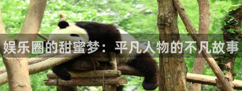 高德娱乐：娱乐圈的甜蜜梦：平凡人物的不凡故事
