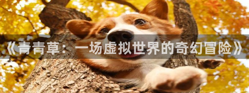 高德娱乐：《青青草：一场虚拟世界的奇幻冒险》