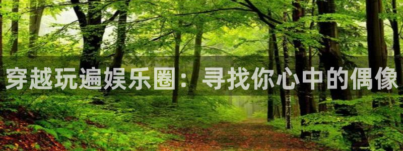 高德娱乐：穿越玩遍娱乐圈：寻找你心中的偶像