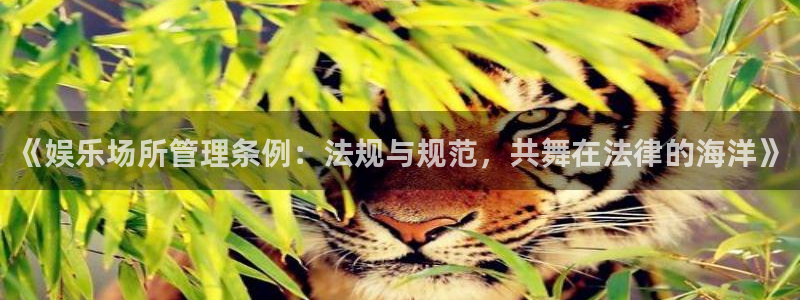 高德娱乐：《娱乐场所管理条例：法规与规范，共舞在法律的海洋》