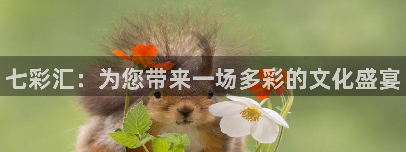 高德娱乐：七彩汇：为您带来一场多彩的文化盛宴