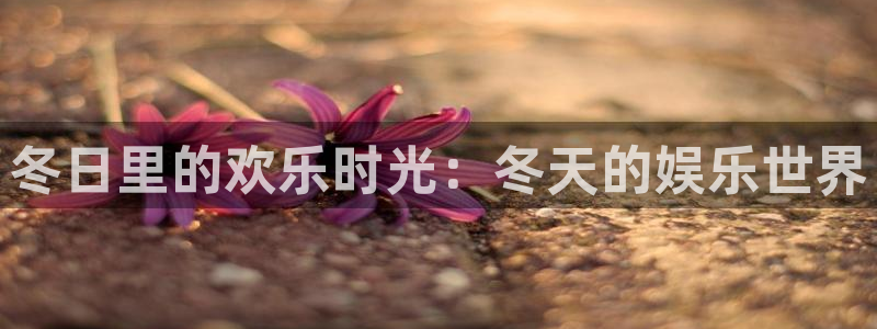 高德娱乐：冬日里的欢乐时光：冬天的娱乐世界