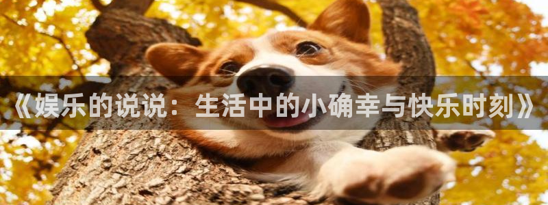 高德娱乐：《娱乐的说说：生活中的小确幸与快乐时刻》